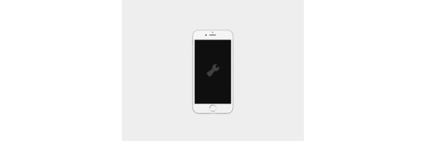 iPhone 6 & 6 Plus