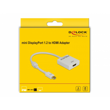 DeLock Adapter