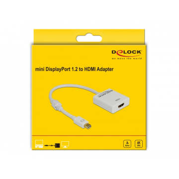 DeLock Adapter
